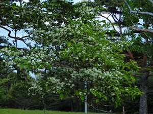 DSCN0276