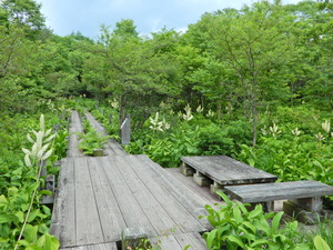 DSCN0235