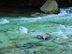 DSCN9462