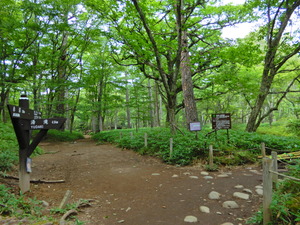 DSCN9340