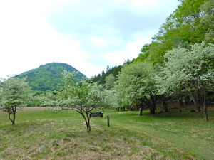 DSCN9621