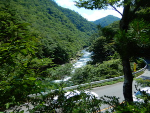 DSCN9494