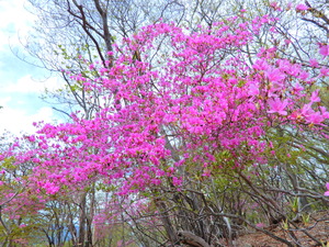 DSCN0103