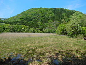 DSCN9382