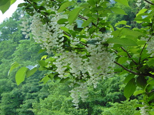 DSCN9458