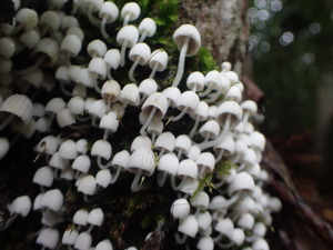 P9231006