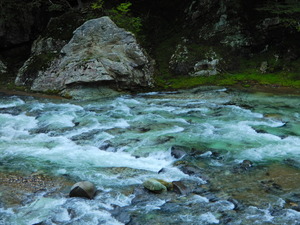 DSCN9479