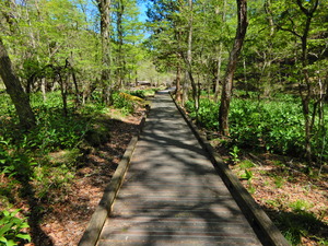DSCN0342