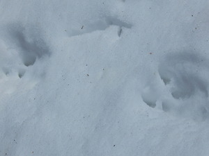 DSCN0084
