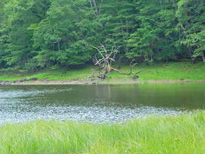 DSCN9371
