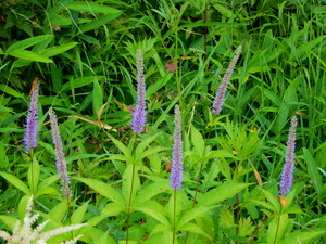 DSCN9437