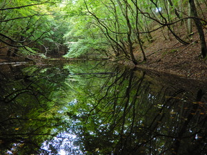 DSCN0961