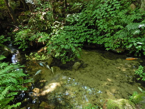 DSCN9738