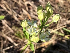 IMG_2884