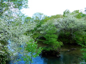 DSCN1799