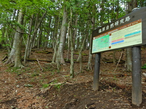 DSCN9442