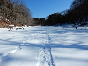 DSCN8694 - Rs[