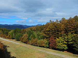 DSCN9550