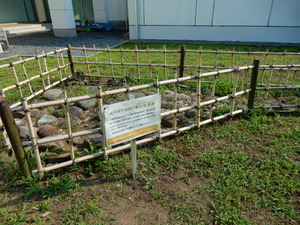 DSCN1062