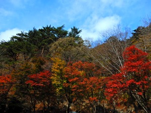 DSCN9410
