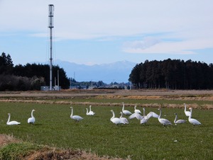 DSCN8858