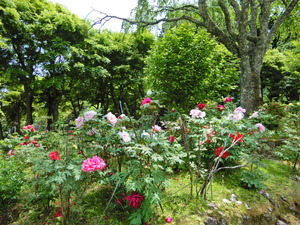 DSCN9338