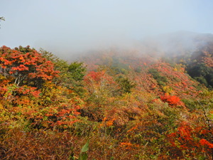 DSCN9571