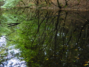 DSCN0963