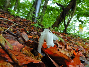 DSCN9557