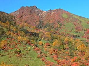 DSCN9753