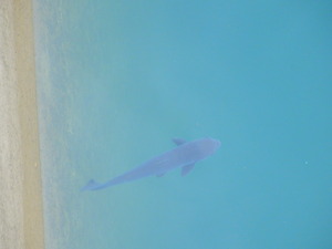 DSCN9810
