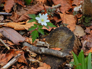 DSCN0672