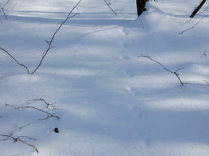 DSCN0276