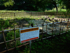 DSCN1055
