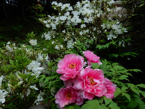 DSCN9326