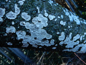 DSCN9108
