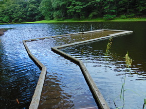 DSCN0081
