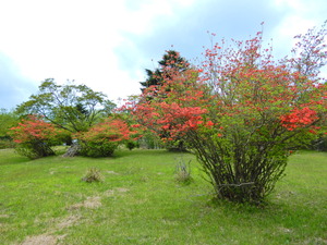 DSCN9944