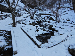 DSCN9622