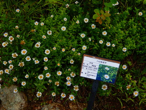 DSCN0105