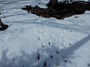 DSCN0080