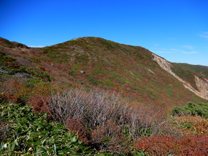 DSCN9694