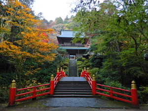 DSCN0066