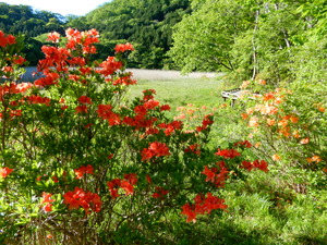 DSCN1468