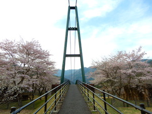 DSCN0649