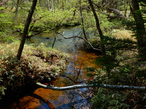 DSCN0728