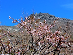 DSCN0068