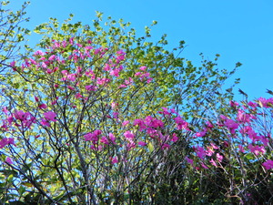 DSCN0384