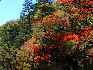 DSCN0195