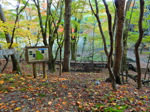 DSCN1064